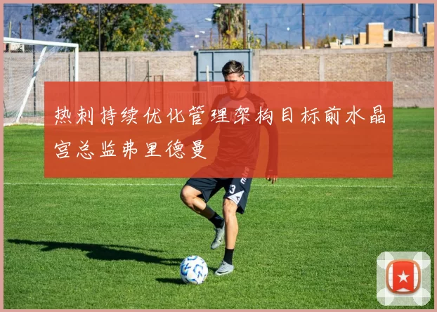 热刺持续优化管理架构目标前水晶宫总监弗里德曼